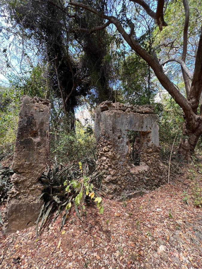 Chole Foxes Lodge المظهر الخارجي الصورة