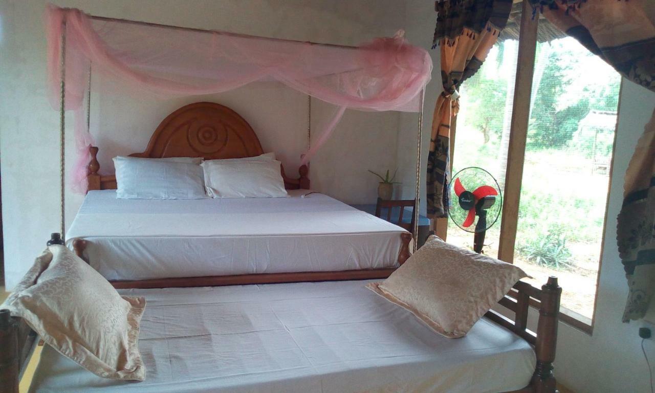Chole Foxes Lodge المظهر الخارجي الصورة